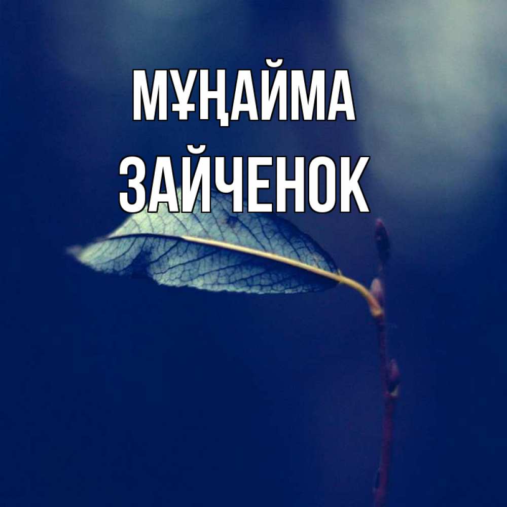 Күн сайын ашық хат с именем, Зайченок Мұңайма растение Онлайн тегін жүктеп алу тілектері бар керемет карта 