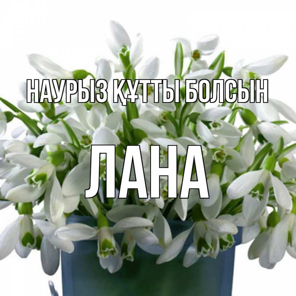 Күн сайын ашық хат с именем, Лана Наурыз құтты болсын цветы к наурызу Онлайн тегін жүктеп алу тілектері бар керемет карта 