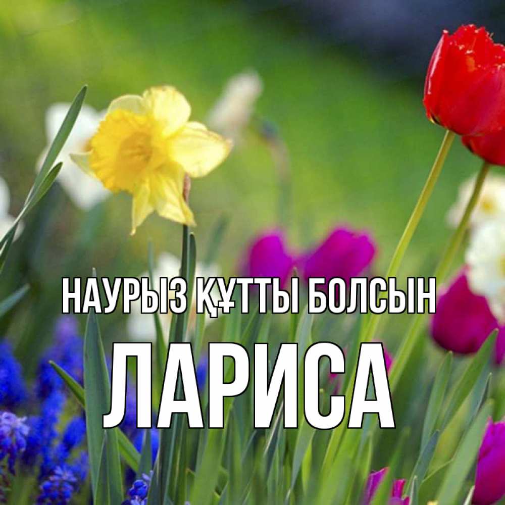 Күн сайын ашық хат с именем, Лариса Наурыз құтты болсын наурыз  3 открытки Онлайн тегін жүктеп алу тілектері бар керемет карта 