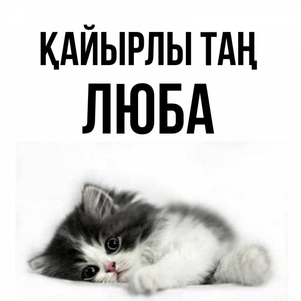 Күн сайын ашық хат с именем, Люба Қайырлы таң кот лапки Онлайн тегін жүктеп алу тілектері бар керемет карта 