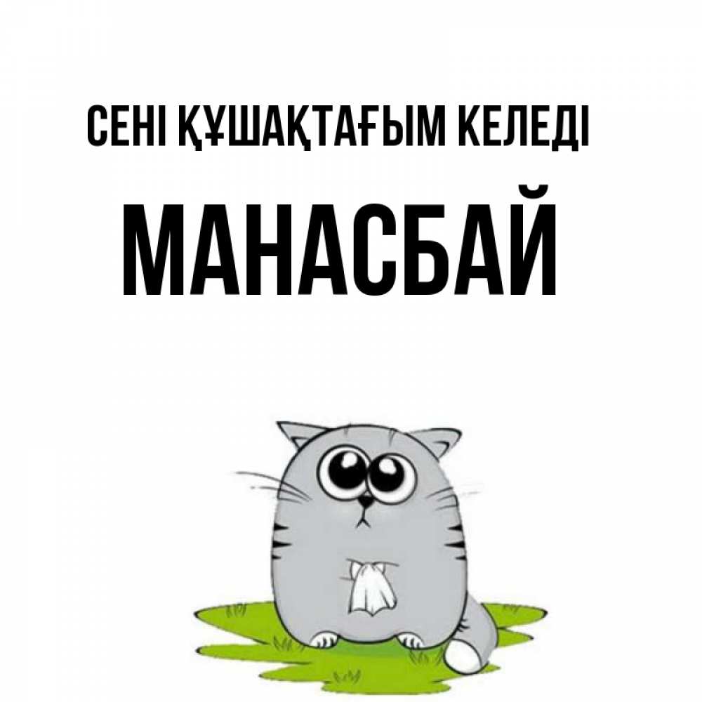 Күн сайын ашық хат с именем, МАНАСБАЙ сені құшақтағым келеді котик теребит платочек сидя на травке Онлайн тегін жүктеп алу тілектері бар керемет карта 