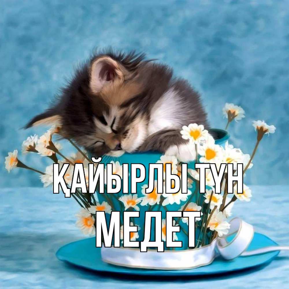 Күн сайын ашық хат с именем, МЕДЕТ Қайырлы түн котенок спит в кружке с блюдцем Онлайн тегін жүктеп алу тілектері бар керемет карта 