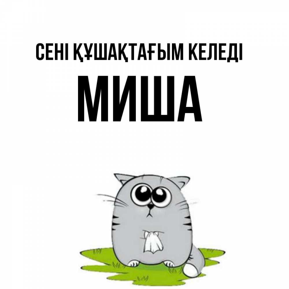 Күн сайын ашық хат с именем, Миша сені құшақтағым келеді котик теребит платочек сидя на травке Онлайн тегін жүктеп алу тілектері бар керемет карта 