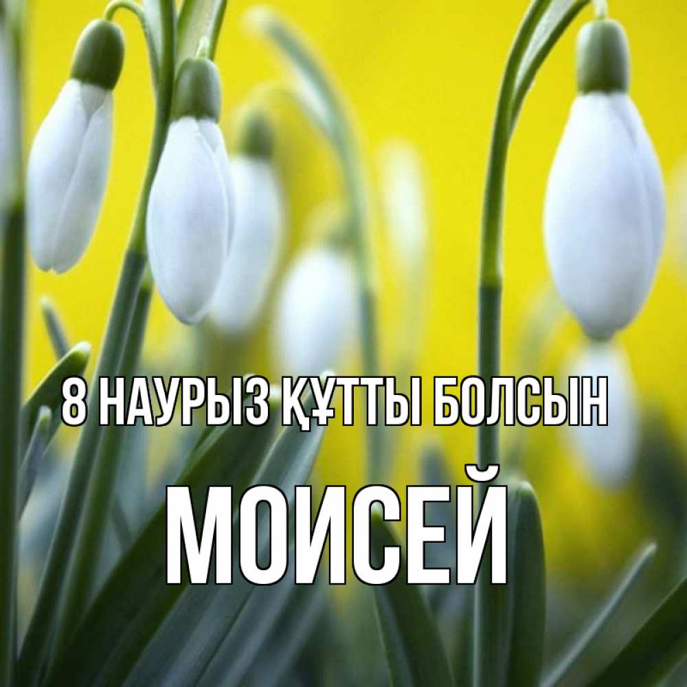 Күн сайын ашық хат с именем, Моисей 8 наурыз құтты болсын весенние цветы Онлайн тегін жүктеп алу тілектері бар керемет карта 