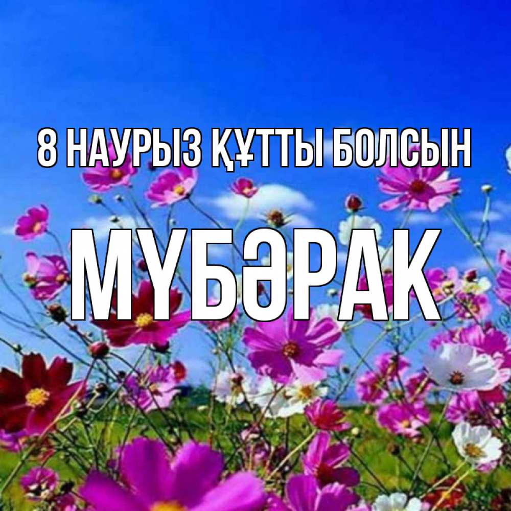 Күн сайын ашық хат с именем, МҮБӘРАК 8 наурыз құтты болсын цветы Онлайн тегін жүктеп алу тілектері бар керемет карта 