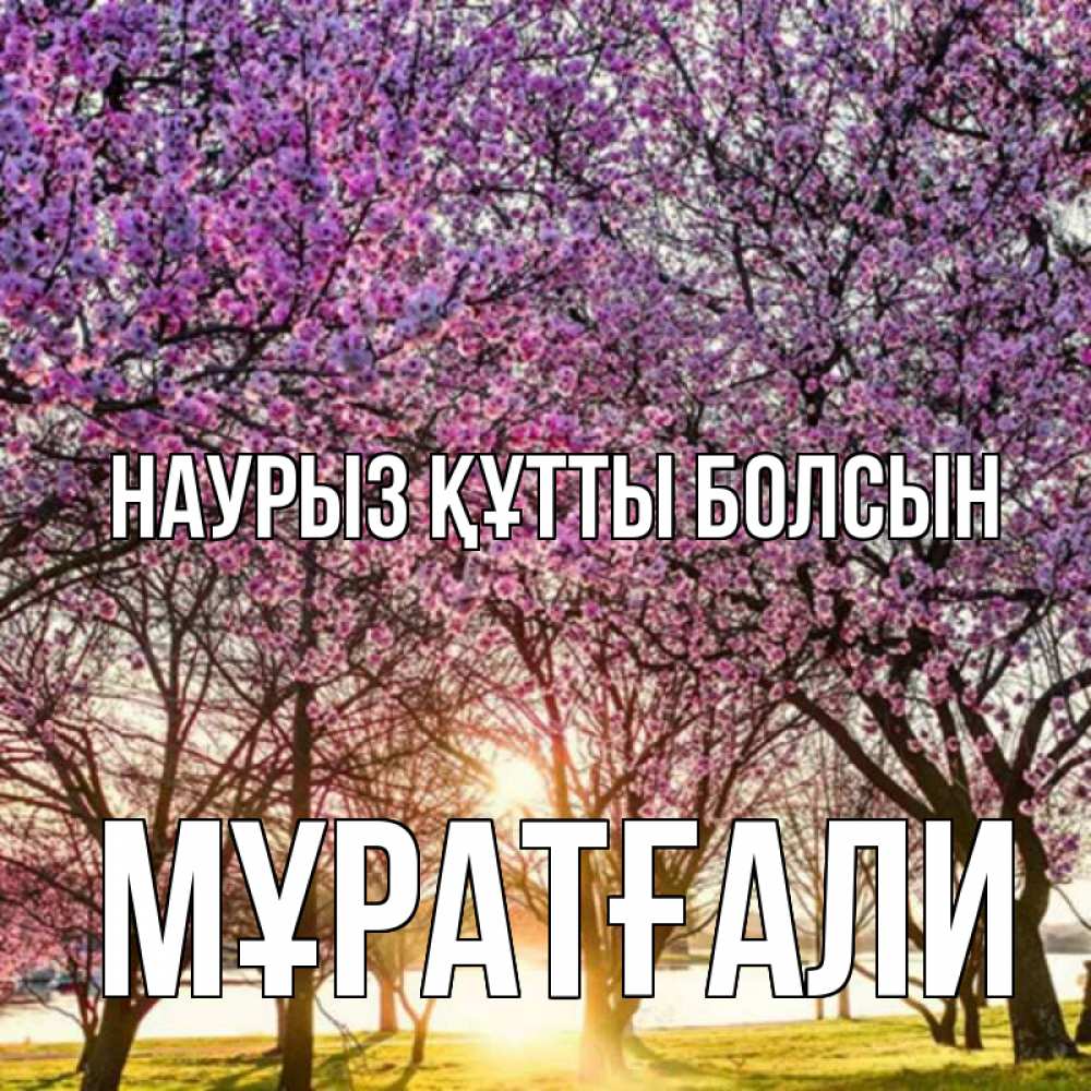Күн сайын ашық хат с именем, Мұратғали Наурыз құтты болсын наурыз Онлайн тегін жүктеп алу тілектері бар керемет карта 