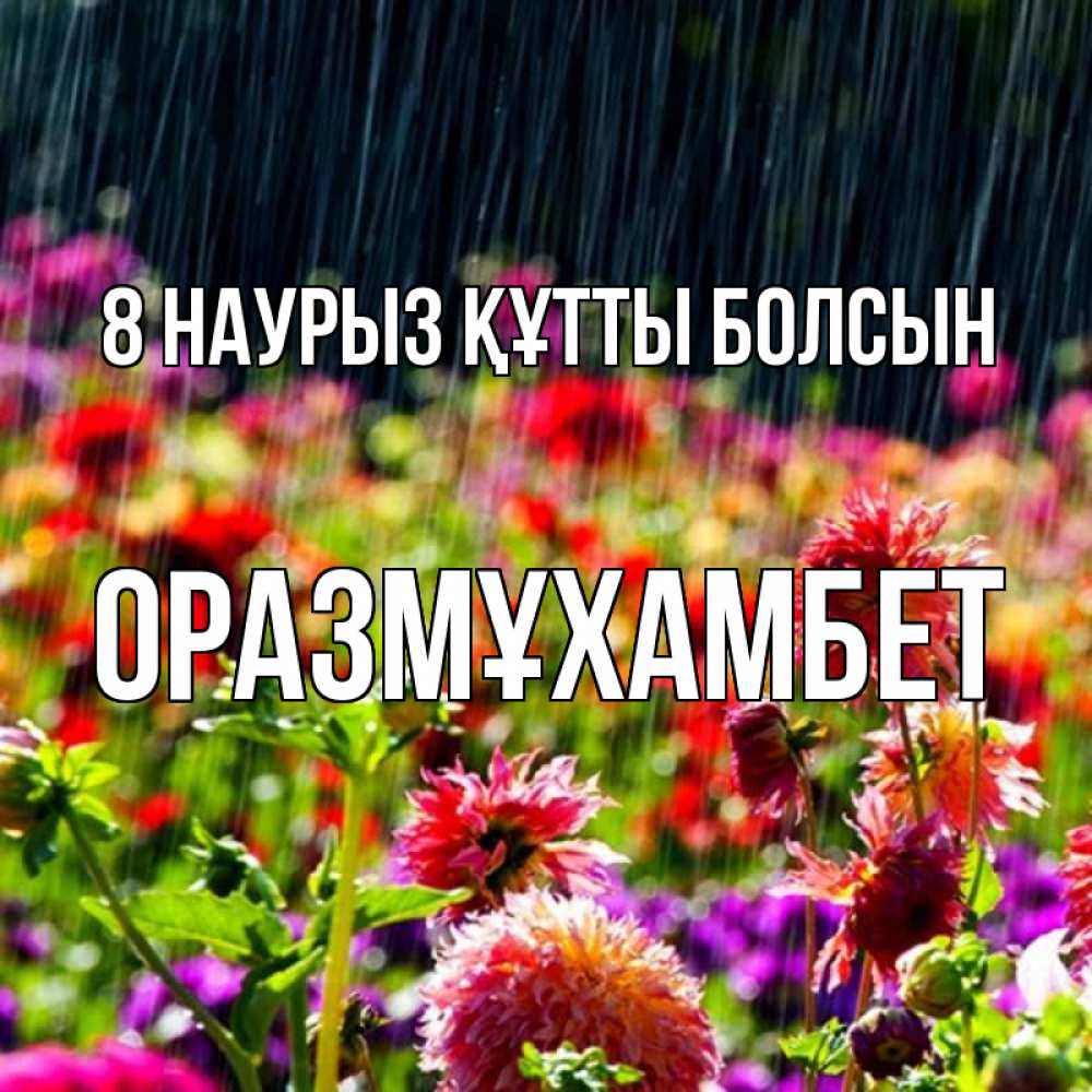 Күн сайын ашық хат с именем, ОРАЗМҰХАМБЕТ 8 наурыз құтты болсын цветы под дождиком к международному женскому дню Онлайн тегін жүктеп алу тілектері бар керемет карта 