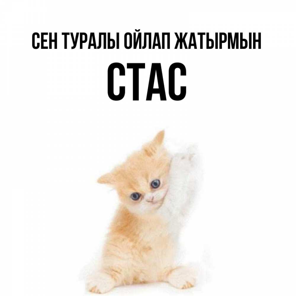 Күн сайын ашық хат с именем, Стас Сен туралы ойлап жатырмын зверушки и милота Онлайн тегін жүктеп алу тілектері бар керемет карта 