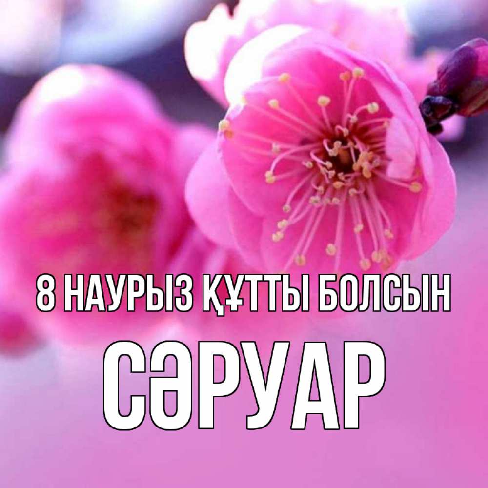 Күн сайын ашық хат с именем, СӘРУАР 8 наурыз құтты болсын международный женский день Онлайн тегін жүктеп алу тілектері бар керемет карта 