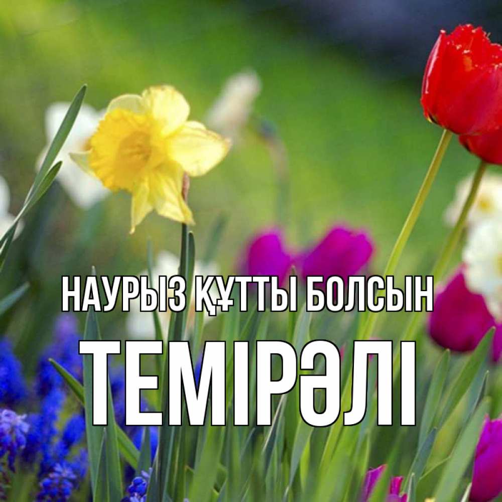 Күн сайын ашық хат с именем, ТЕМІРӘЛІ Наурыз құтты болсын наурыз  3 открытки Онлайн тегін жүктеп алу тілектері бар керемет карта 