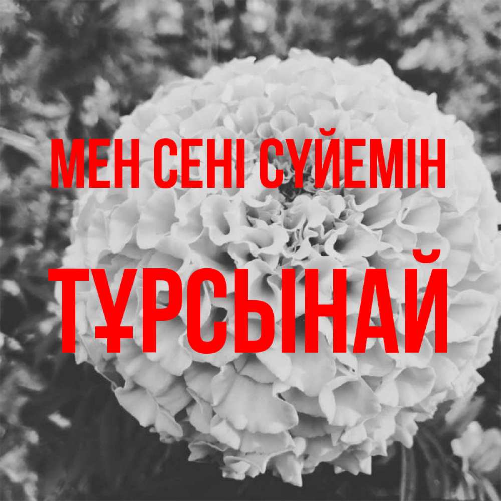 Күн сайын ашық хат с именем, ТҰРСЫНАЙ Мен сені сүйемін подпись Онлайн тегін жүктеп алу тілектері бар керемет карта 