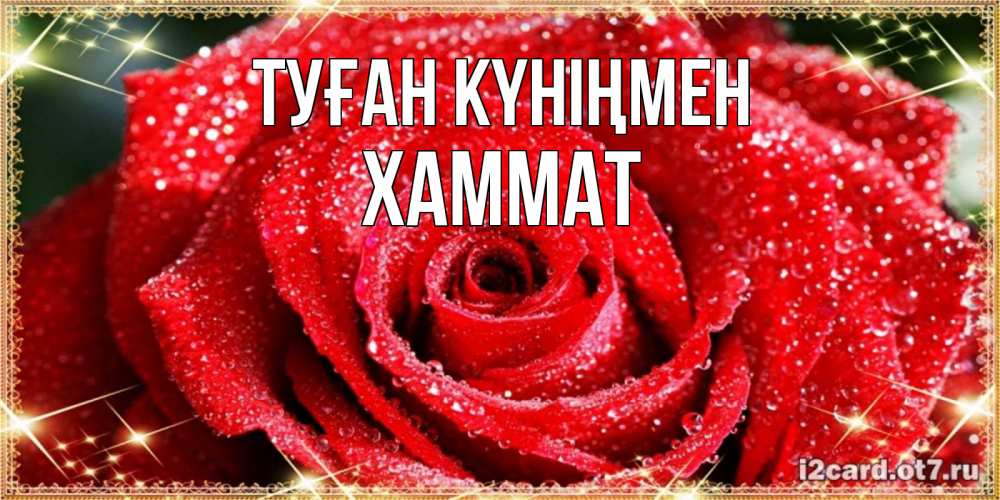 Күн сайын ашық хат с именем, ХАММАТ Туған күніңмен роса и роза. открытка с красивой розой Онлайн тегін жүктеп алу тілектері бар керемет карта 