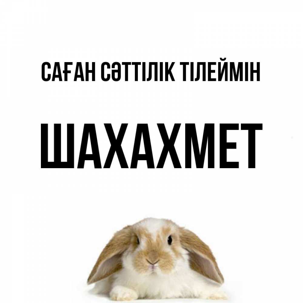 Күн сайын ашық хат с именем, ШАХАХМЕТ Саған сәттілік тілеймін открытки с произвольным текстом который можно вставить в открытку и создать ее самостоятельно бесплатно онлайн Онлайн тегін жүктеп алу тілектері бар керемет карта 