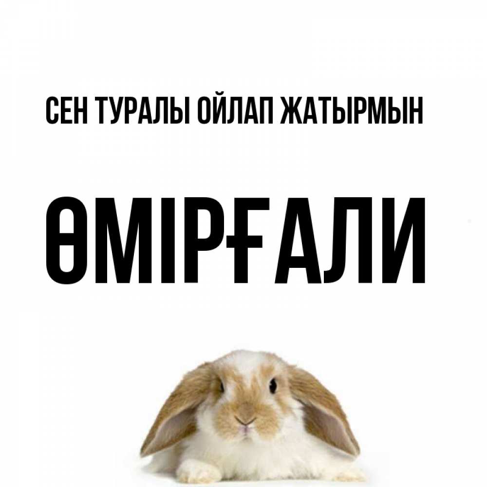 Күн сайын ашық хат с именем, ӨМІРҒАЛИ Сен туралы ойлап жатырмын подписать своими руками онлайн Онлайн тегін жүктеп алу тілектері бар керемет карта 