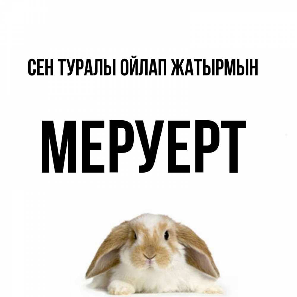 Күн сайын ашық хат с именем, МЕРУЕРТ Сен туралы ойлап жатырмын подписать своими руками онлайн Онлайн тегін жүктеп алу тілектері бар керемет карта 