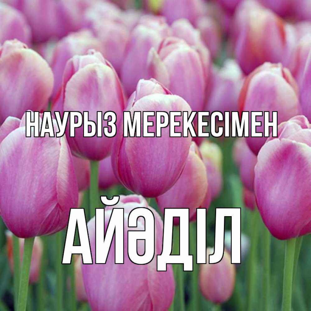 Күн сайын ашық хат с именем, Айәділ Наурыз мерекесімен праздник весны наурыз 69 Онлайн тегін жүктеп алу тілектері бар керемет карта 