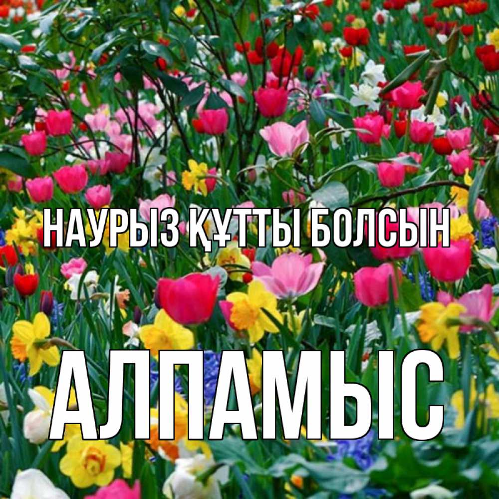 Күн сайын ашық хат с именем, Алпамыс Наурыз құтты болсын с наурызом поздравления для женщины Онлайн тегін жүктеп алу тілектері бар керемет карта 
