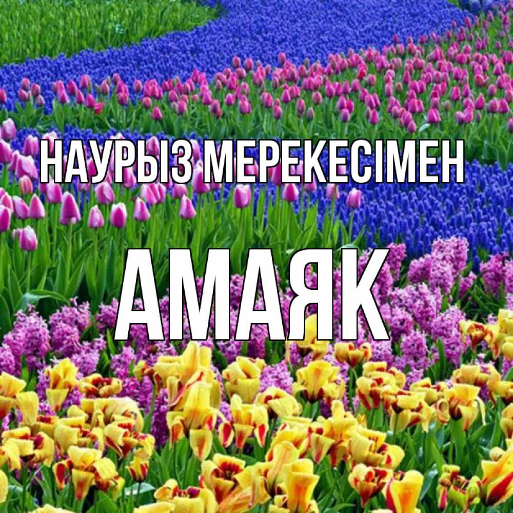 Күн сайын ашық хат с именем, Амаяк Наурыз мерекесімен цветы Онлайн тегін жүктеп алу тілектері бар керемет карта 