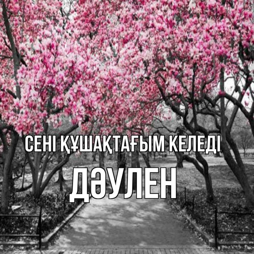 Күн сайын ашық хат с именем, Дәулен сені құшақтағым келеді обработанное фото Онлайн тегін жүктеп алу тілектері бар керемет карта 