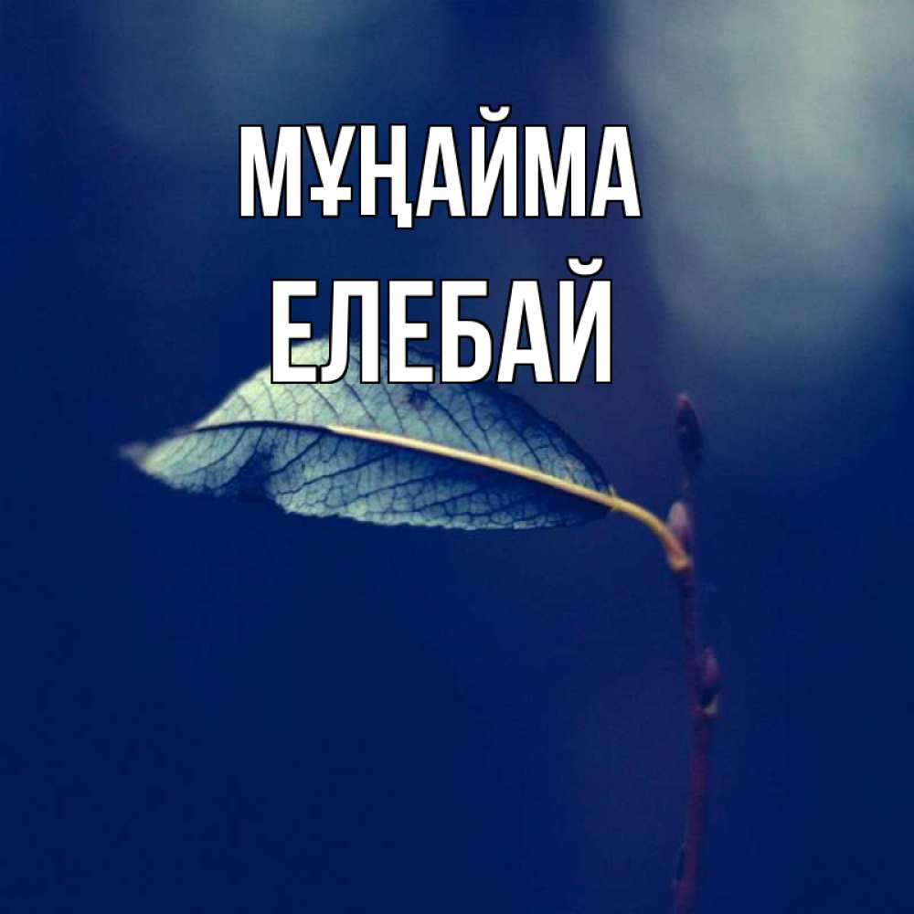 Күн сайын ашық хат с именем, Елебай Мұңайма растение Онлайн тегін жүктеп алу тілектері бар керемет карта 