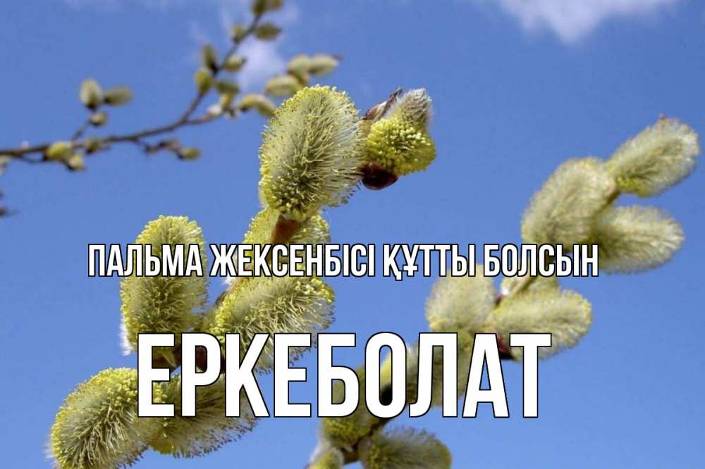 Күн сайын ашық хат с именем, Еркеболат Пальма жексенбісі құтты болсын верба Онлайн тегін жүктеп алу тілектері бар керемет карта 