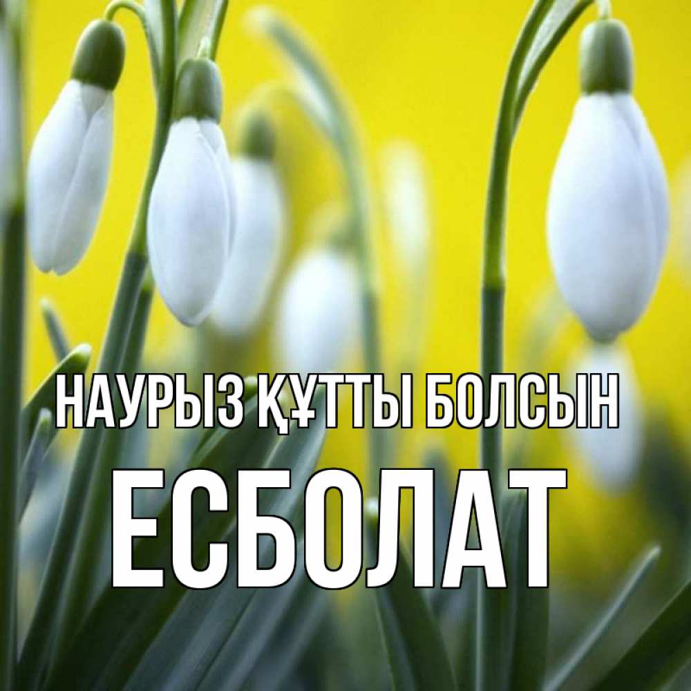 Күн сайын ашық хат с именем, Есболат Наурыз құтты болсын весенние цветы Онлайн тегін жүктеп алу тілектері бар керемет карта 