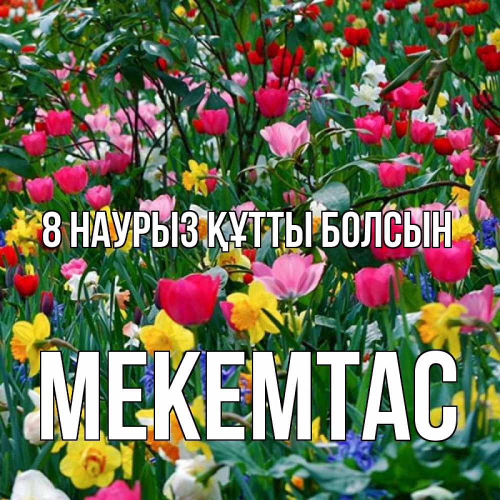 Күн сайын ашық хат с именем, МЕКЕМТАС 8 наурыз құтты болсын с международным женским днем поздравления для женщины Онлайн тегін жүктеп алу тілектері бар керемет карта 