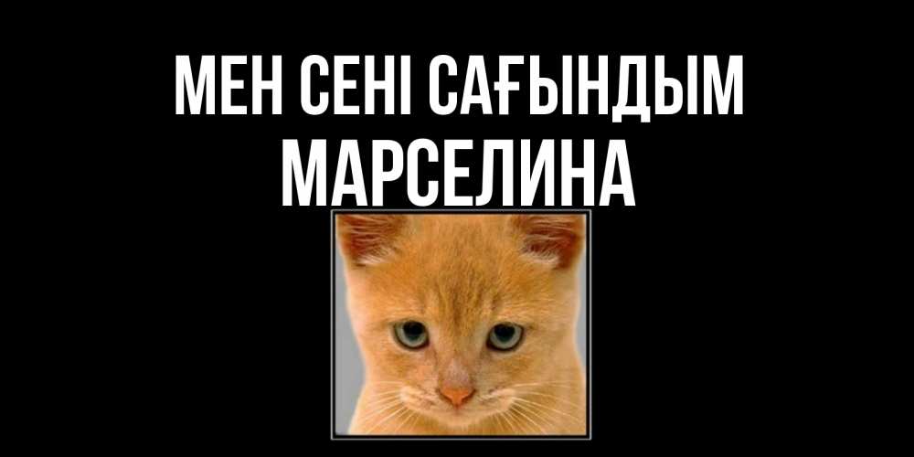 Күн сайын ашық хат с именем, Марселина Мен сені сағындым открытки рыжий котенок скучает по тебе Онлайн тегін жүктеп алу тілектері бар керемет карта 