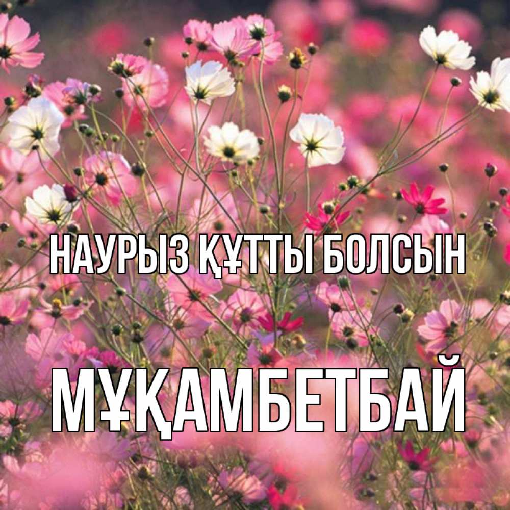 Күн сайын ашық хат с именем, Мұқамбетбай Наурыз құтты болсын красиво 1 Онлайн тегін жүктеп алу тілектері бар керемет карта 