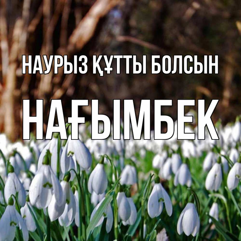 Күн сайын ашық хат с именем, НАҒЫМБЕК Наурыз құтты болсын с подснежниками 1 Онлайн тегін жүктеп алу тілектері бар керемет карта 