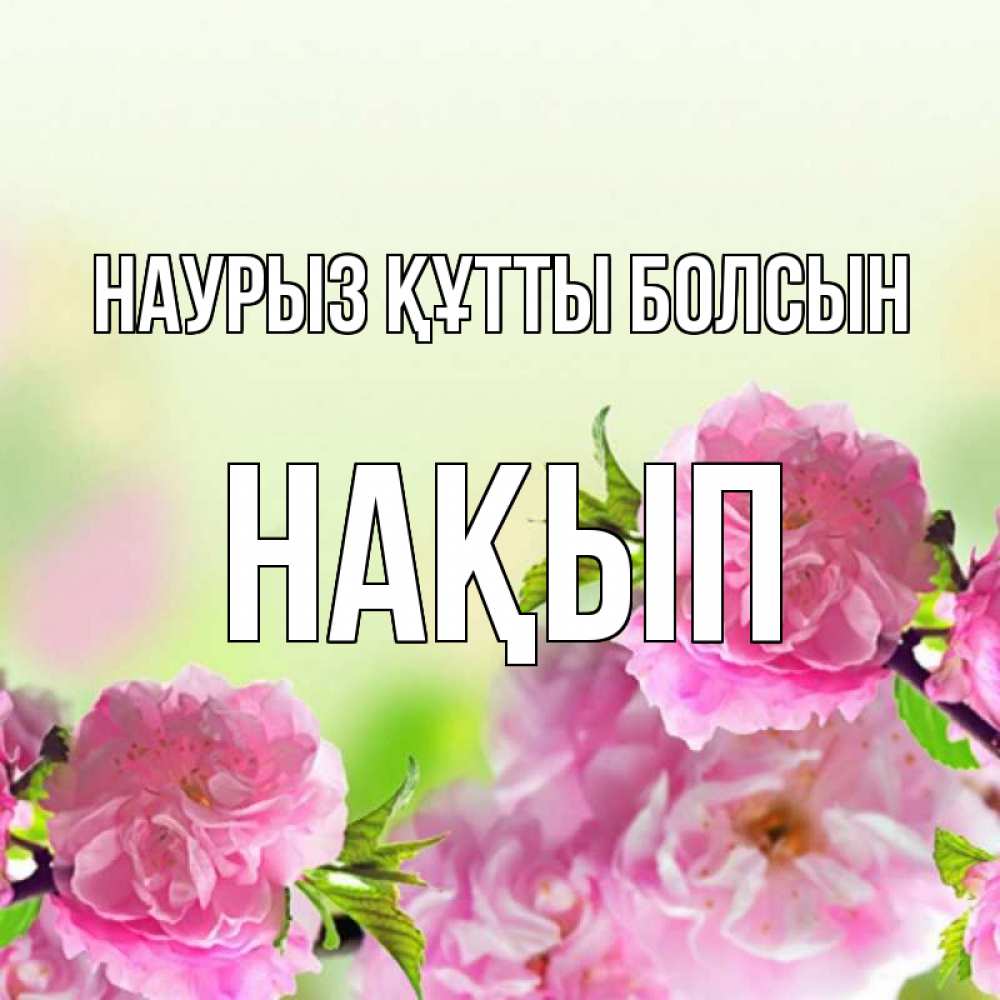 Күн сайын ашық хат с именем, НАҚЫП Наурыз құтты болсын цветы Онлайн тегін жүктеп алу тілектері бар керемет карта 