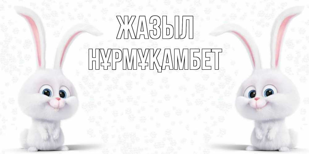 Күн сайын ашық хат с именем, НҰРМҰҚАМБЕТ Жазыл не болей с зайцем Онлайн тегін жүктеп алу тілектері бар керемет карта 