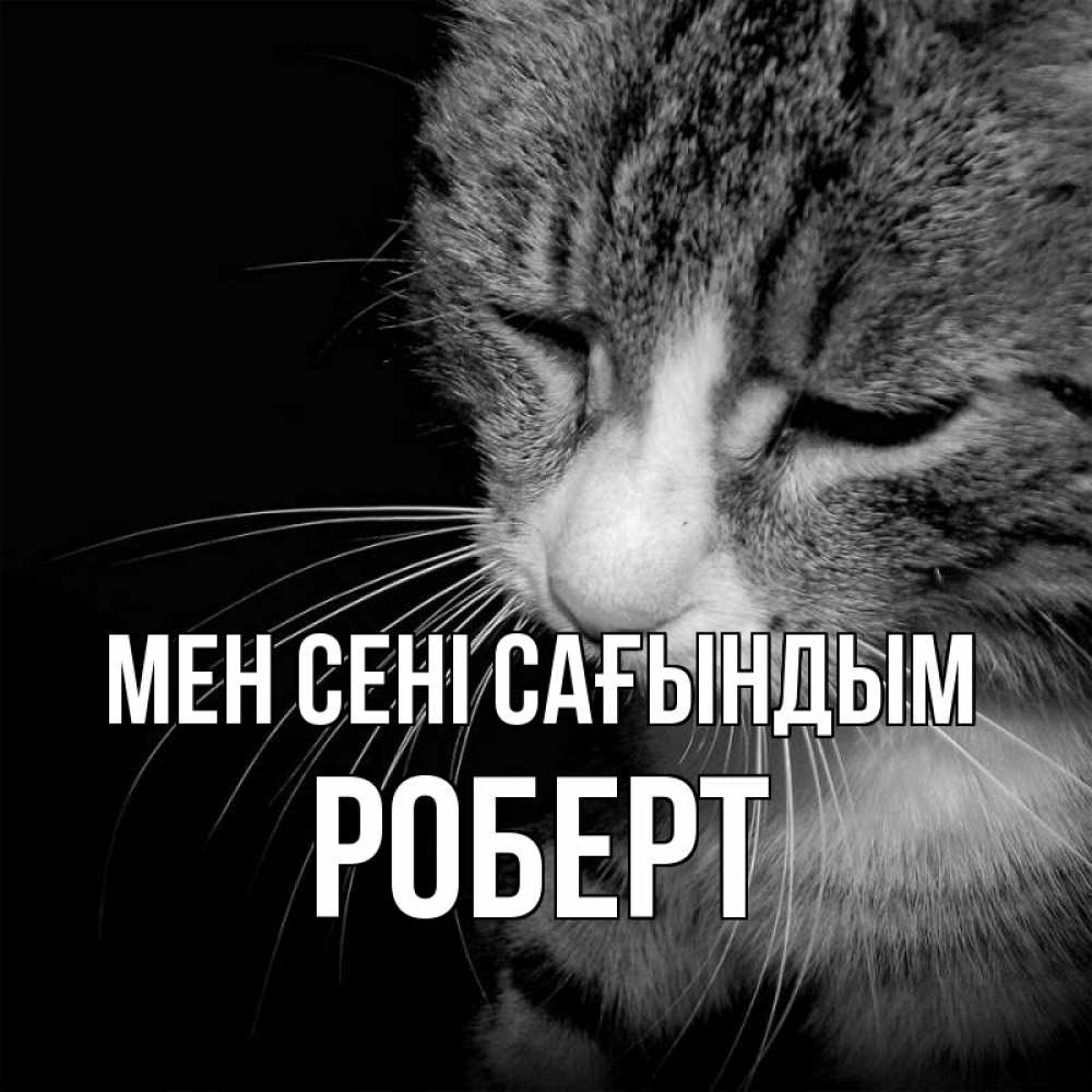 Күн сайын ашық хат с именем, Роберт Мен сені сағындым мне скучно Онлайн тегін жүктеп алу тілектері бар керемет карта 