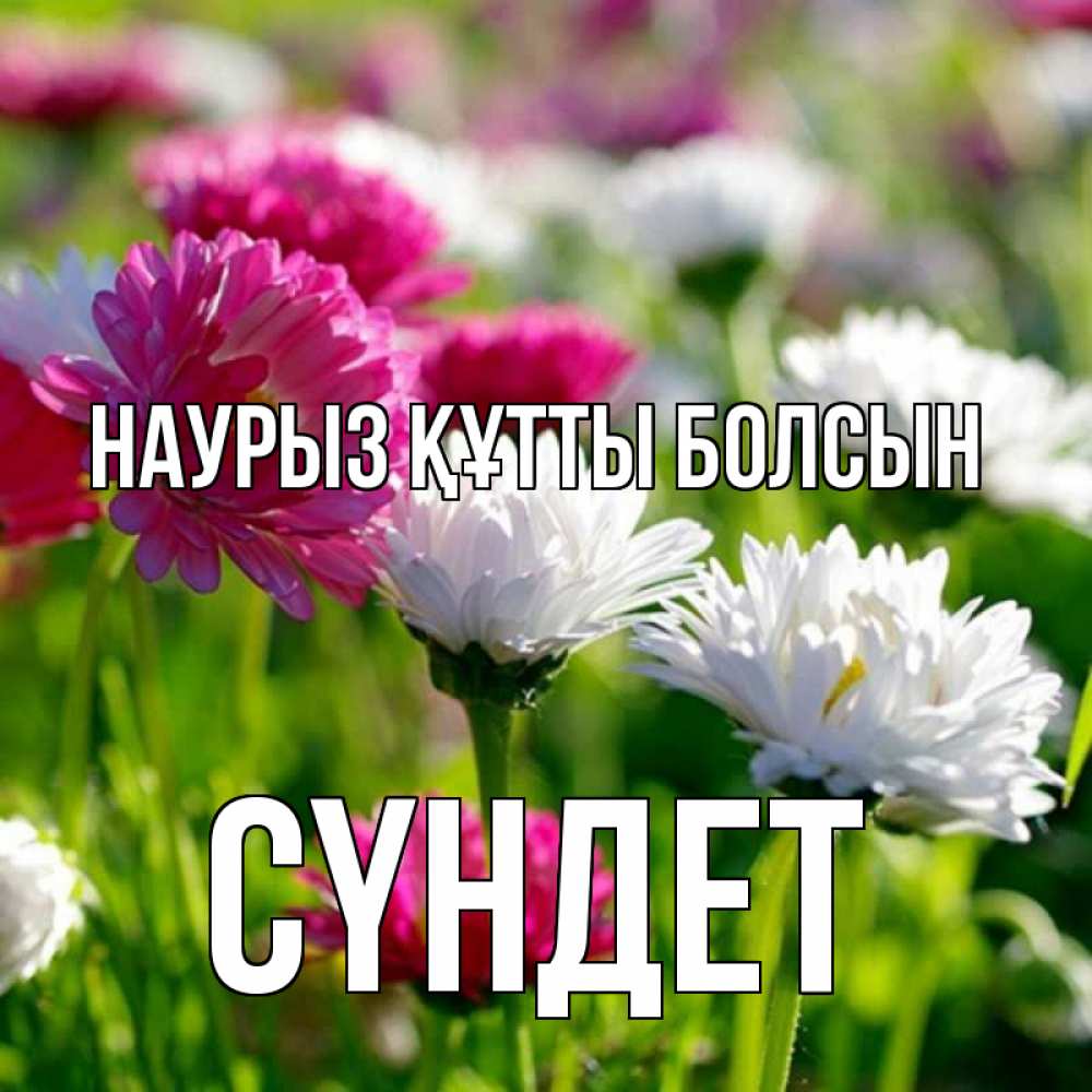 Күн сайын ашық хат с именем, СҮНДЕТ Наурыз құтты болсын наурыз Онлайн тегін жүктеп алу тілектері бар керемет карта 