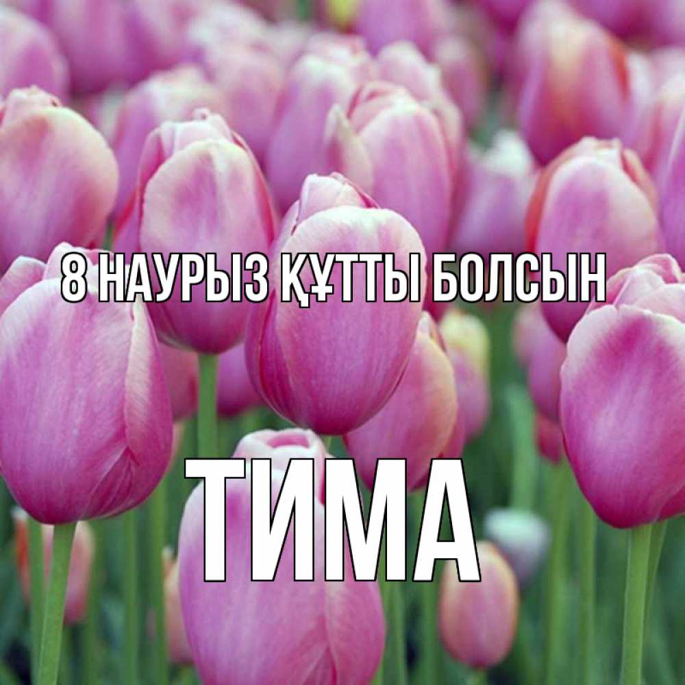 Күн сайын ашық хат с именем, Тима 8 наурыз құтты болсын на международный женский день 3 Онлайн тегін жүктеп алу тілектері бар керемет карта 