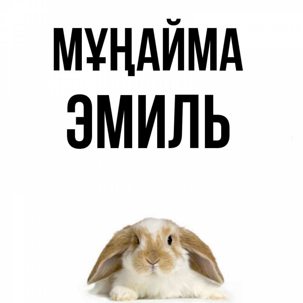 Күн сайын ашық хат с именем, Эмиль Мұңайма коричнево белый заяц с большими ушками Онлайн тегін жүктеп алу тілектері бар керемет карта 