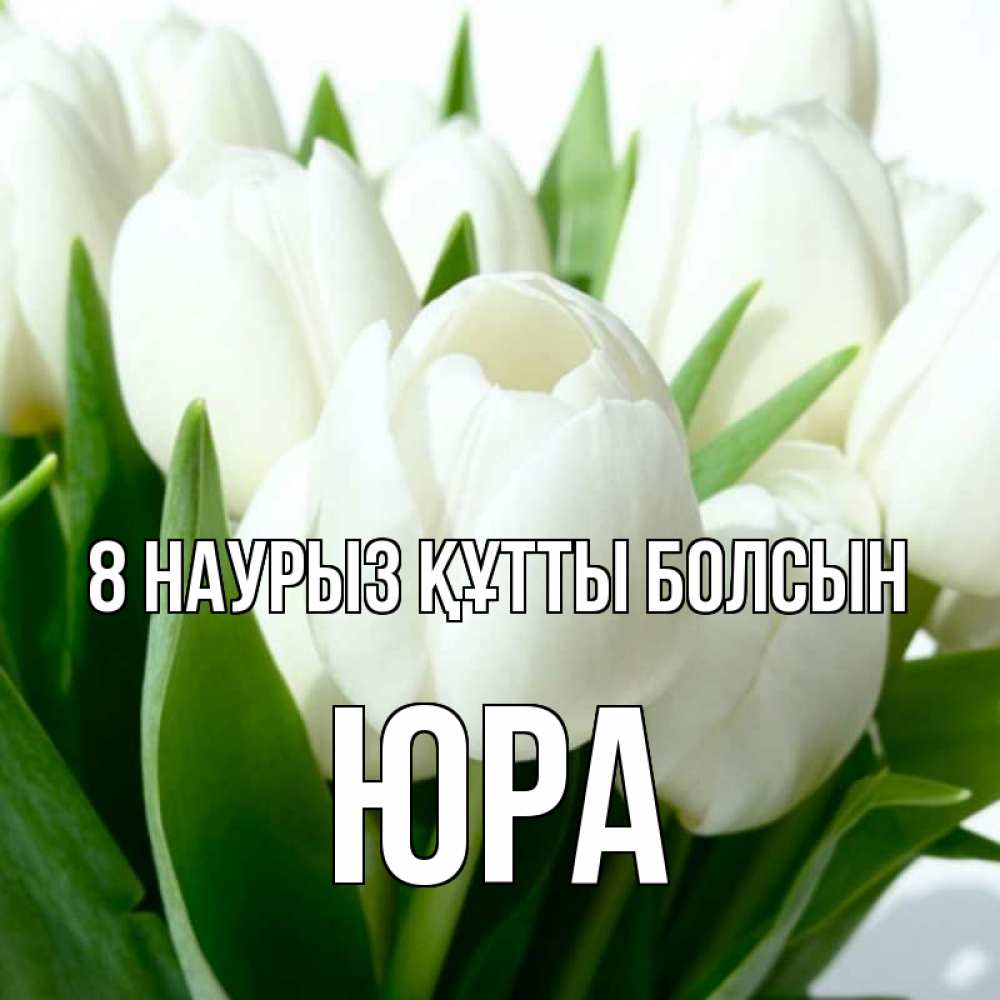 Күн сайын ашық хат с именем, Юра 8 наурыз құтты болсын цветы Онлайн тегін жүктеп алу тілектері бар керемет карта 