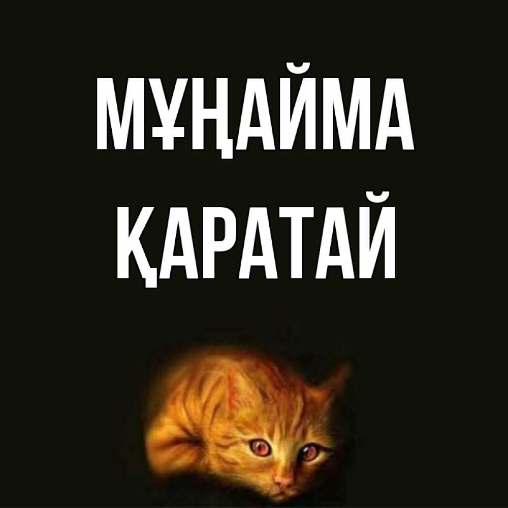 Күн сайын ашық хат с именем, Қаратай Мұңайма лежащий кот в темноте Онлайн тегін жүктеп алу тілектері бар керемет карта 
