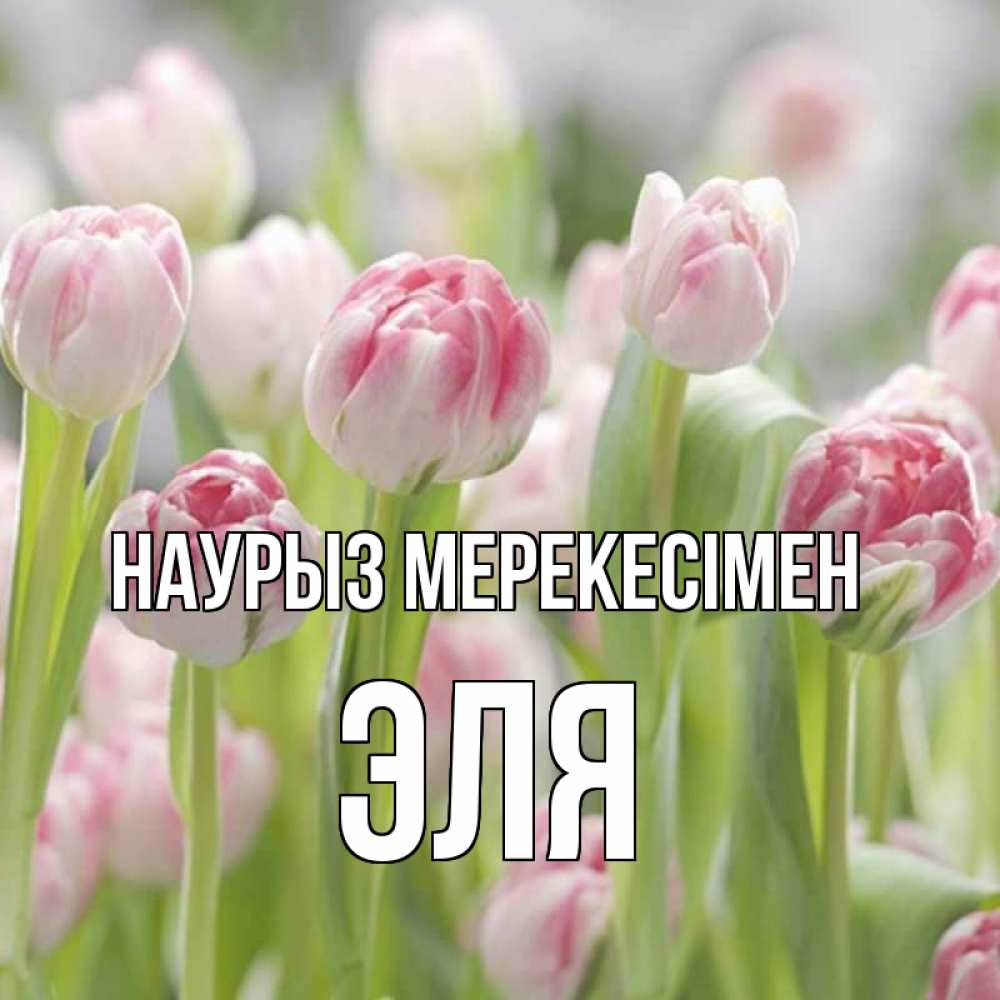 Күн сайын ашық хат с именем, Эля Наурыз мерекесімен цветы Онлайн тегін жүктеп алу тілектері бар керемет карта 