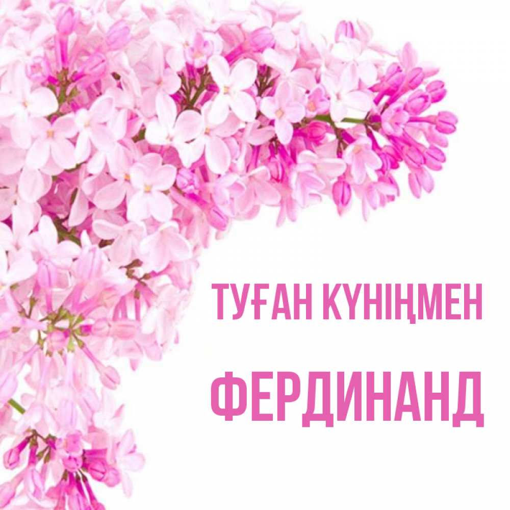 Күн сайын ашық хат с именем, Фердинанд Туған күніңмен Сирень на белом фоне Онлайн тегін жүктеп алу тілектері бар керемет карта 