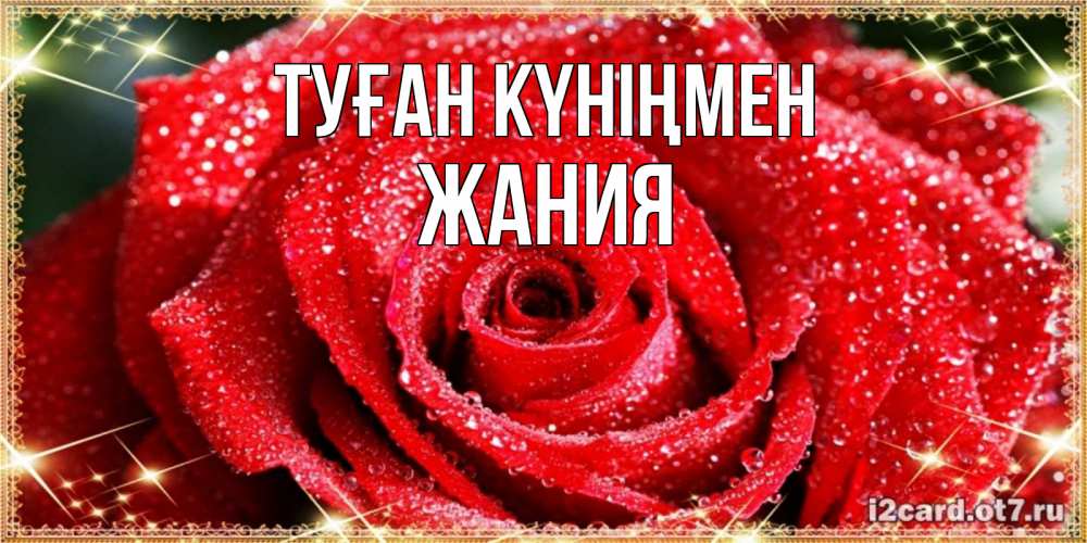 Күн сайын ашық хат с именем, ЖАНИЯ Туған күніңмен роса и роза. открытка с красивой розой Онлайн тегін жүктеп алу тілектері бар керемет карта 