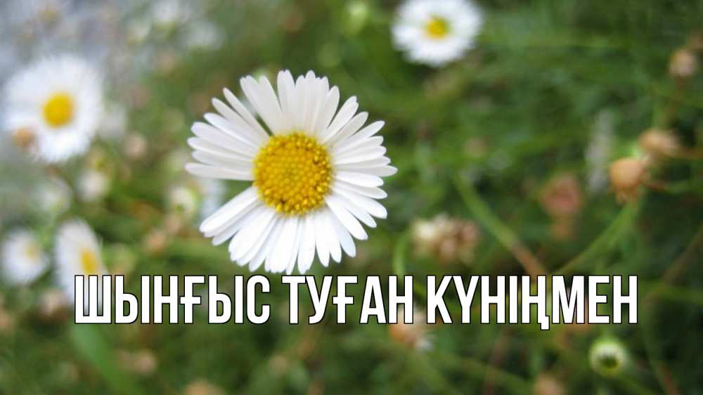 Картинка  с именем , ШЫНҒЫС! ТУҒАН КҮНІҢМЕН!