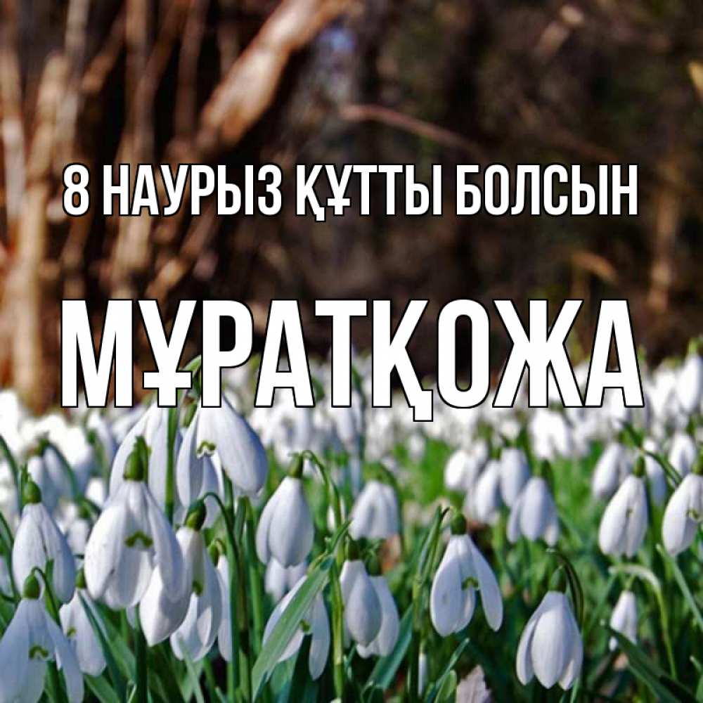 Күн сайын ашық хат с именем, Мұратқожа 8 наурыз құтты болсын с подснежниками 1 Онлайн тегін жүктеп алу тілектері бар керемет карта 