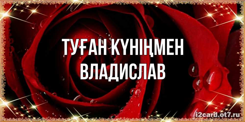 Күн сайын ашық хат с именем, Владислав Туған күніңмен цветок в росе на день рождения Онлайн тегін жүктеп алу тілектері бар керемет карта 