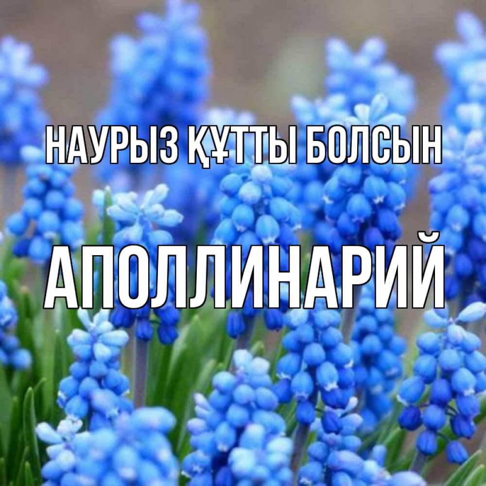 Күн сайын ашық хат с именем, Аполлинарий Наурыз құтты болсын Поздравительная открытка для женщин с цветами на праздничную дату Онлайн тегін жүктеп алу тілектері бар керемет карта 