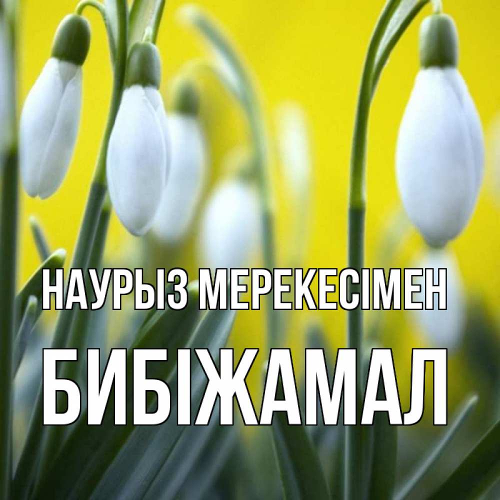 Күн сайын ашық хат с именем, БИБІЖАМАЛ Наурыз мерекесімен весенние цветы Онлайн тегін жүктеп алу тілектері бар керемет карта 
