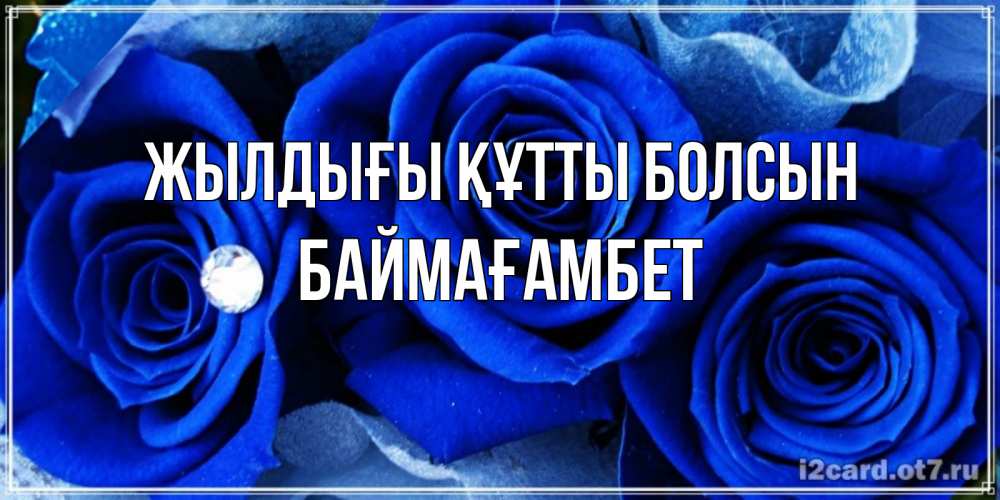 Күн сайын ашық хат с именем, Баймағамбет Жылдығы құтты болсын синие розы в росе Онлайн тегін жүктеп алу тілектері бар керемет карта 