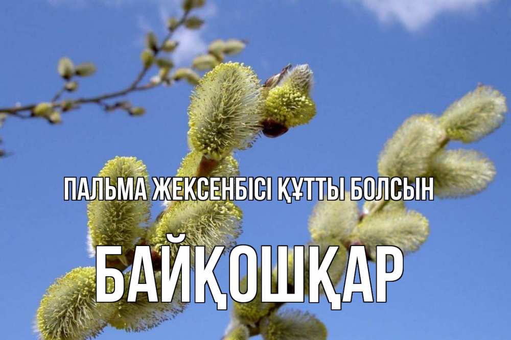 Күн сайын ашық хат с именем, Байқошқар Пальма жексенбісі құтты болсын верба Онлайн тегін жүктеп алу тілектері бар керемет карта 