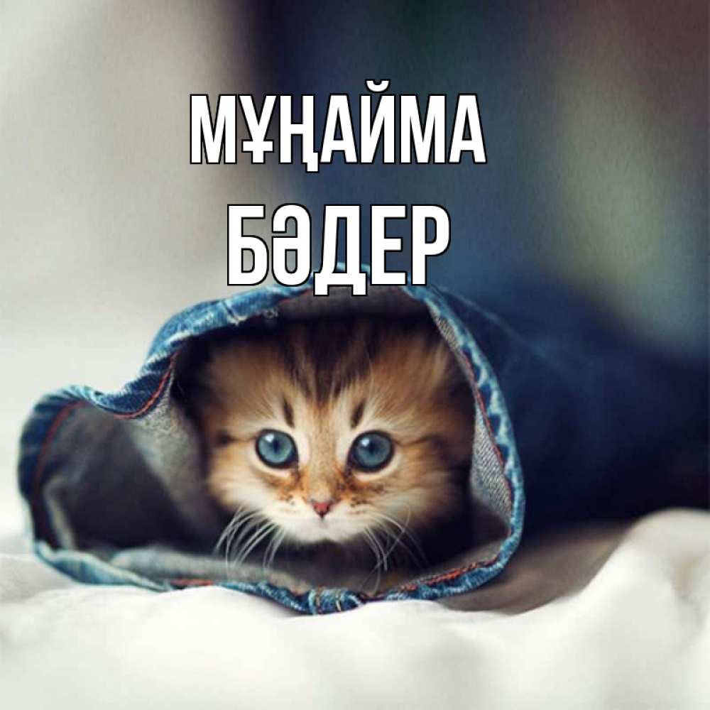 Күн сайын ашық хат с именем, БӘДЕР Мұңайма рыжик котик Онлайн тегін жүктеп алу тілектері бар керемет карта 