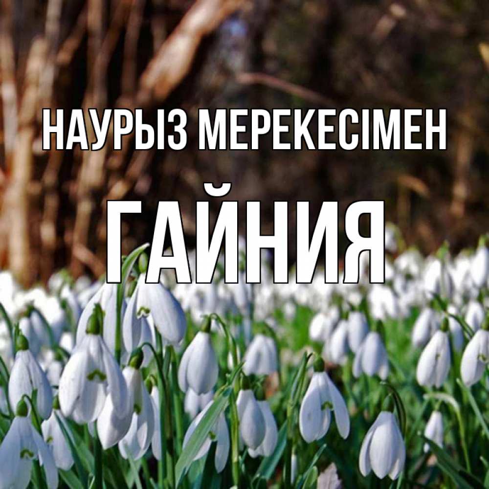 Күн сайын ашық хат с именем, ГАЙНИЯ Наурыз мерекесімен с подснежниками 1 Онлайн тегін жүктеп алу тілектері бар керемет карта 